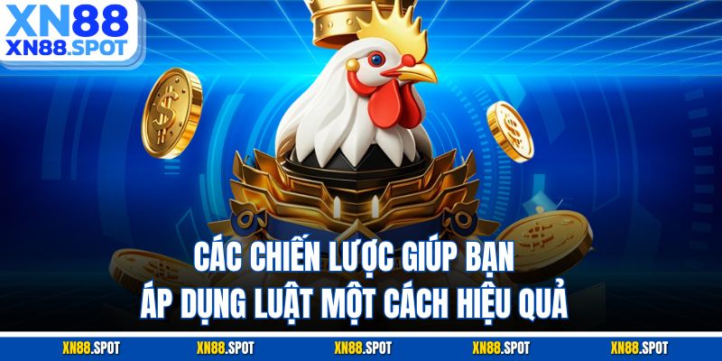 Các chiến lược giúp bạn áp dụng luật một cách hiệu quả